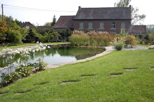 Piscine dans toute sa longueur